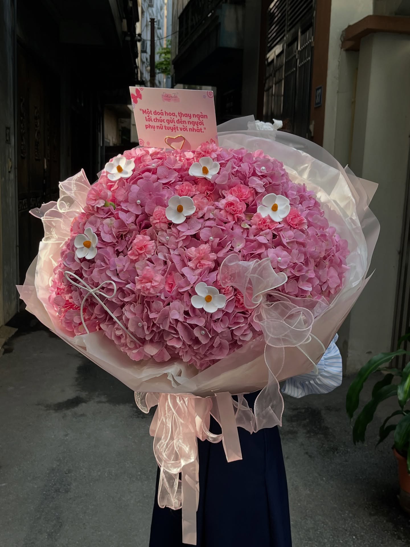 Mẫu hoa Féminité