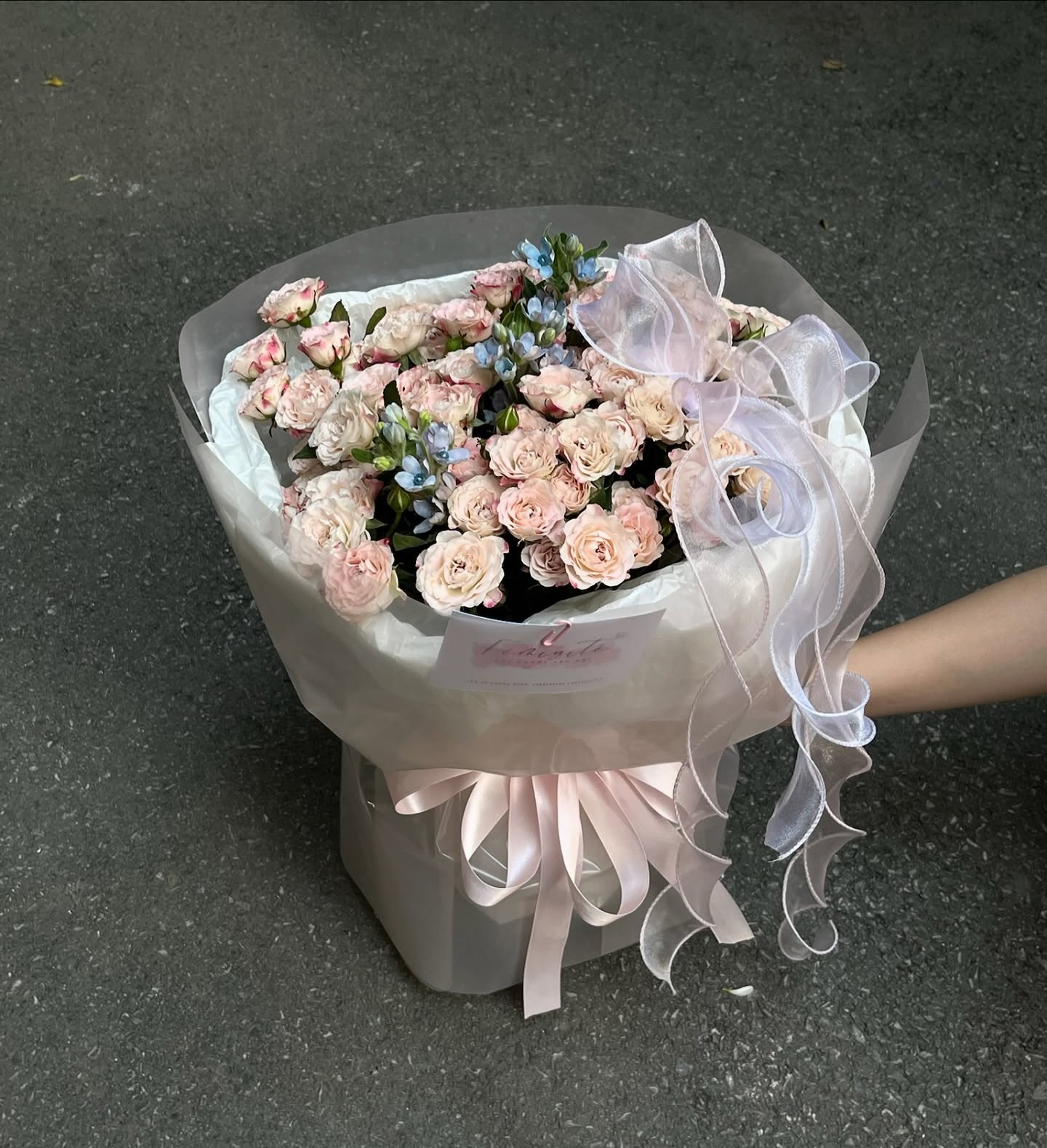 Mẫu hoa Féminité