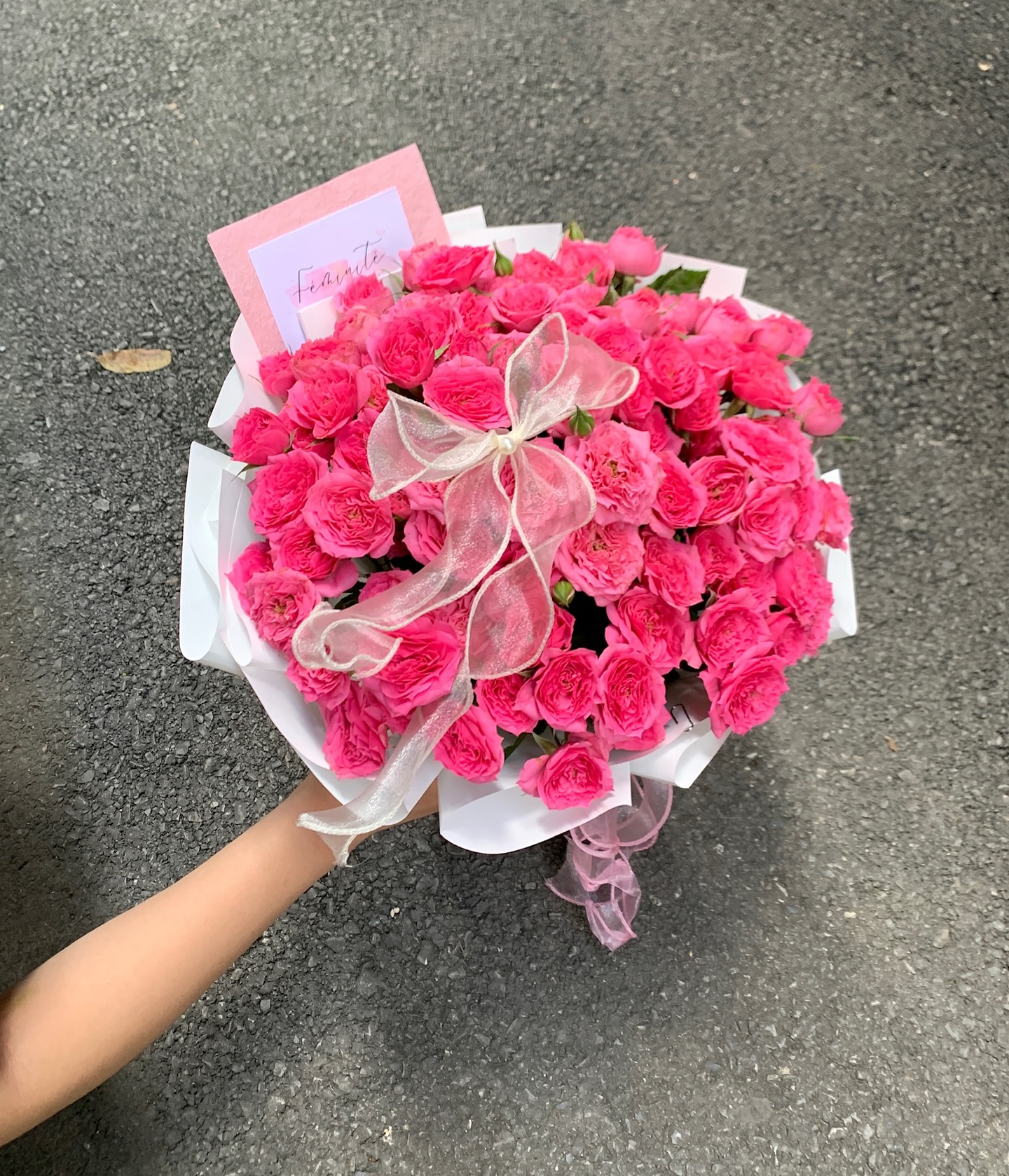 Mẫu hoa Féminité