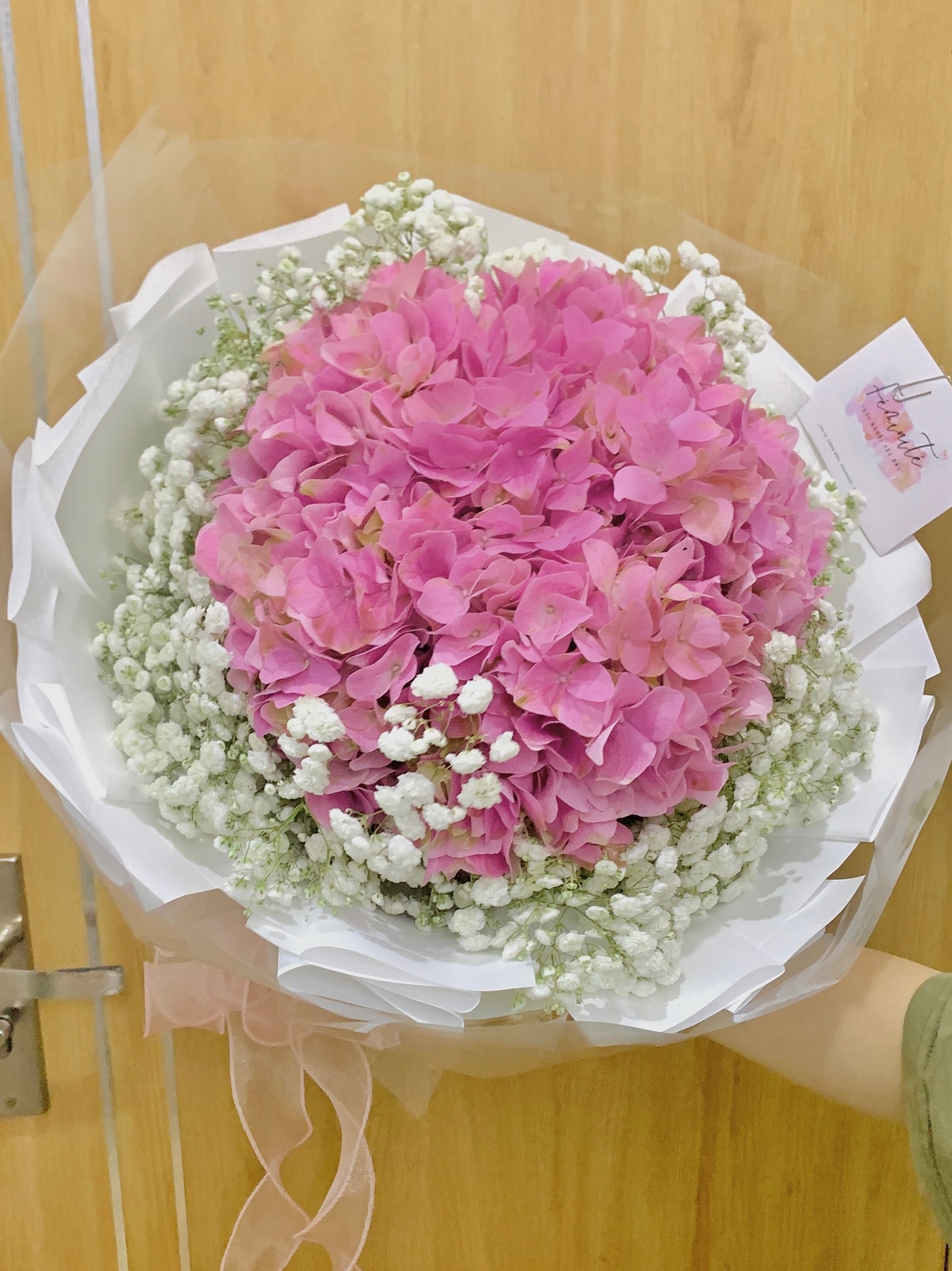 Mẫu hoa Féminité